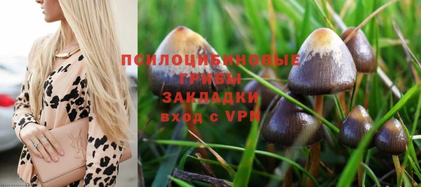 трава Беломорск