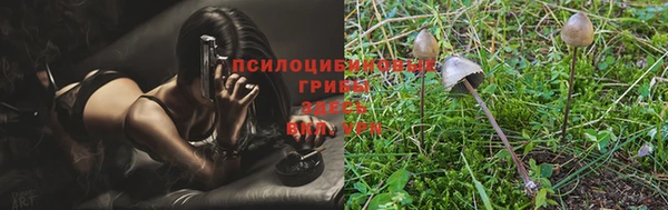 марки nbome Козловка