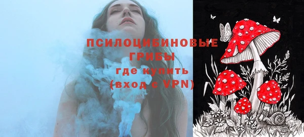 дурь Горнозаводск