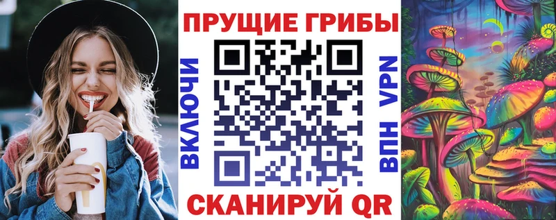 Галлюциногенные грибы Psilocybe  Озёрск 